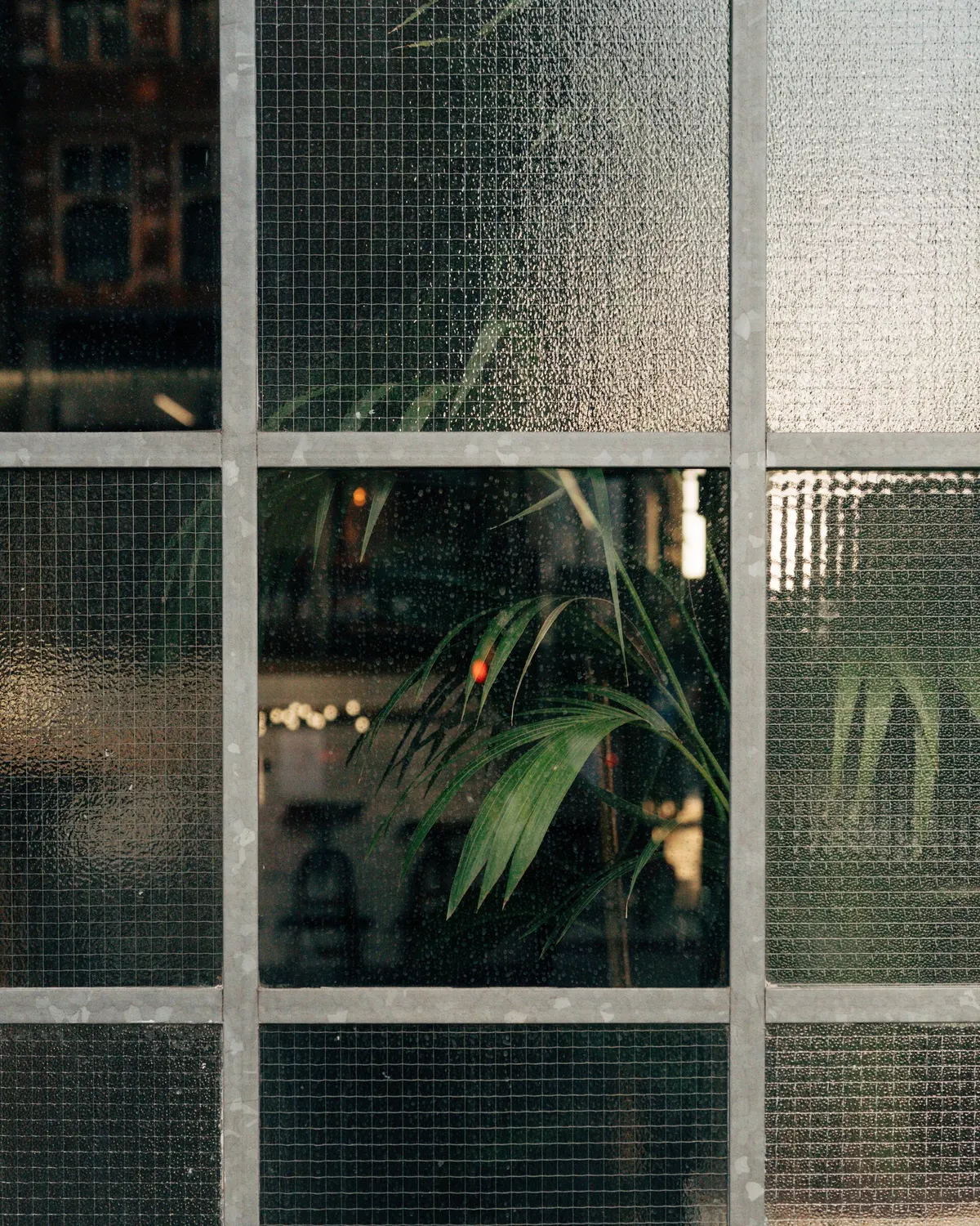 Stalen raam met draadglas, het metalen gaas duidelijk zichtbaar